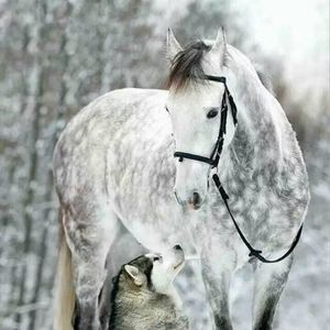 Meet your Posher, Bethanne